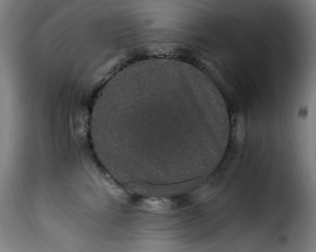 X0000115480712200911201840