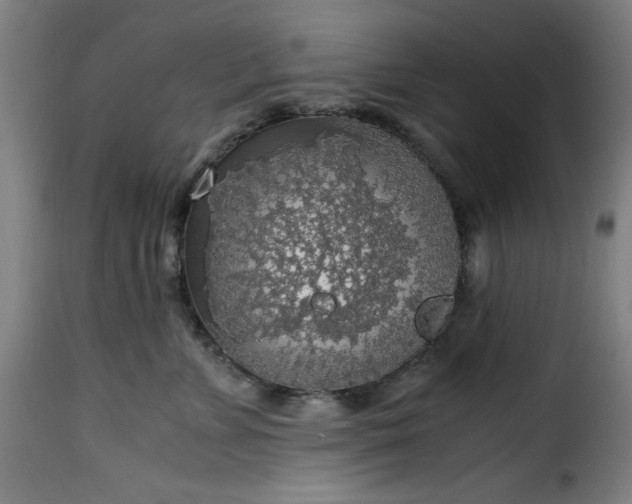 X0000115480715200911201839