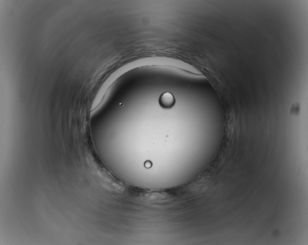 X0000115480716200911201839