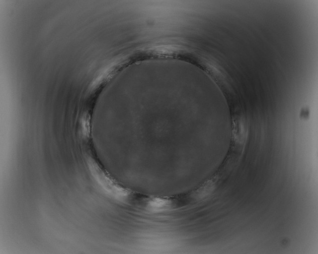 X0000115480718200911201839