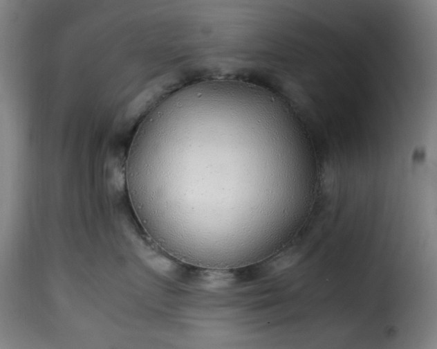 X0000115480719200911201839