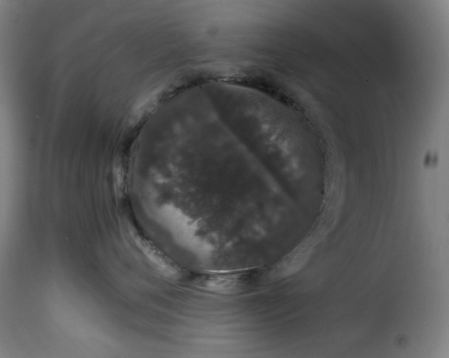 X0000115480720200911201839