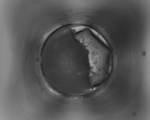 X0000115480721200911201839