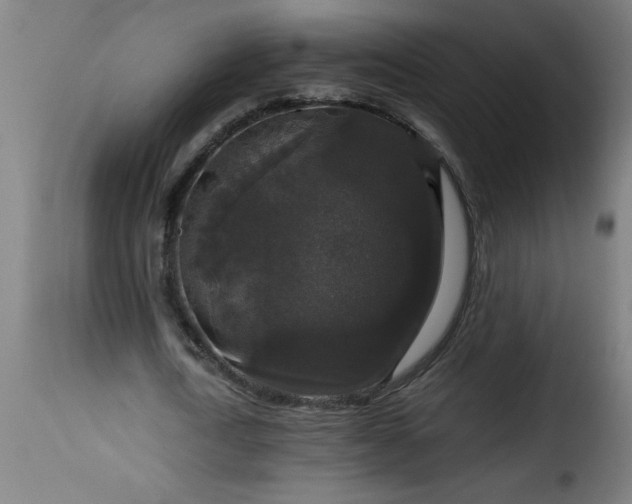 X0000115480722200911201839