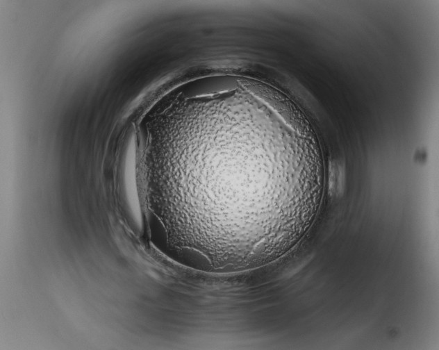 X0000115480723200911201839