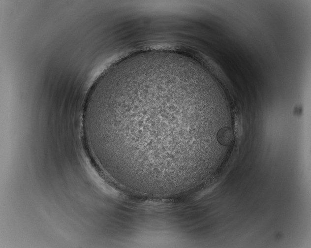 X0000115480725200911201839