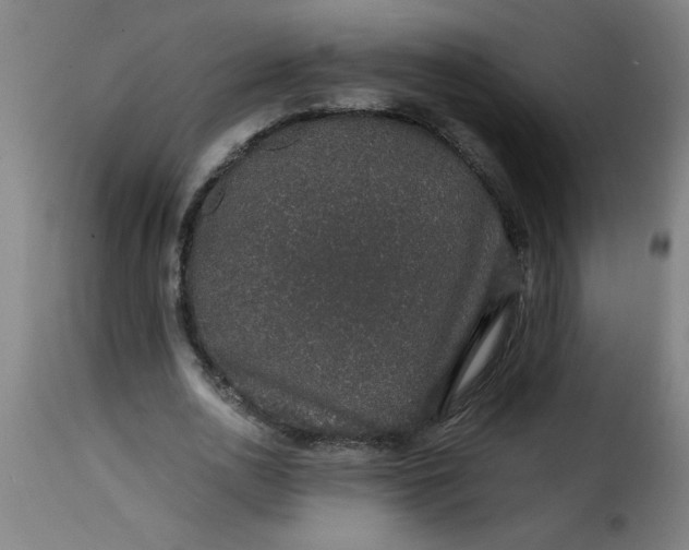 X0000115480726200911201839