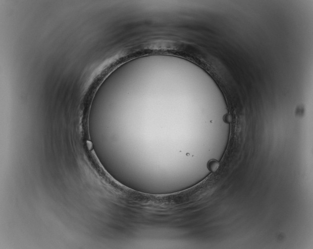 X0000115480727200911201839