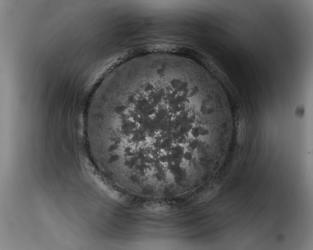 X0000115480729200911201839