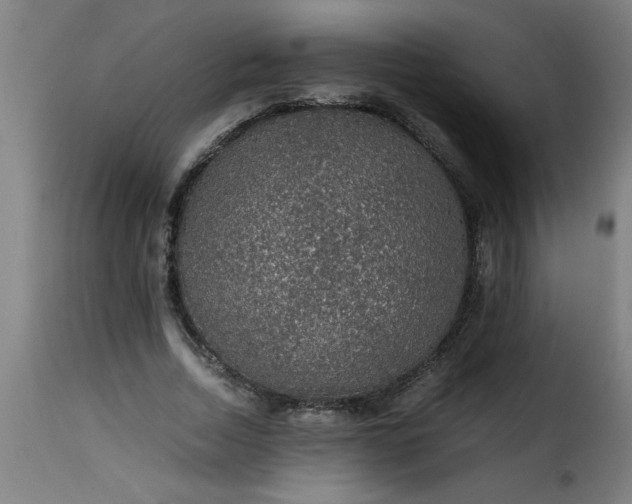 X0000115480730200911201839