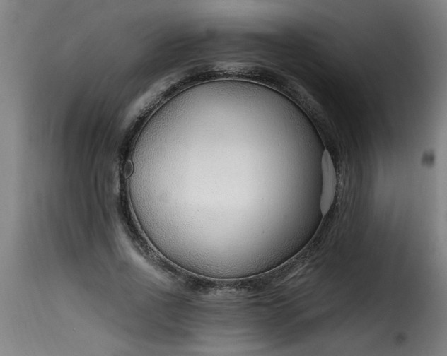 X0000115480734200911201839