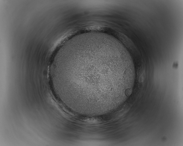 X0000115480735200911201839