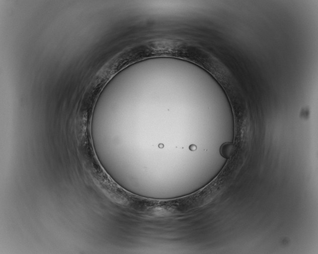 X0000115480737200911201839