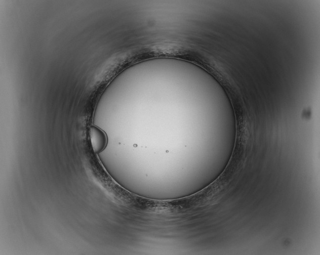 X0000115480738200911201839