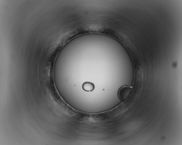 X0000115480739200911201839