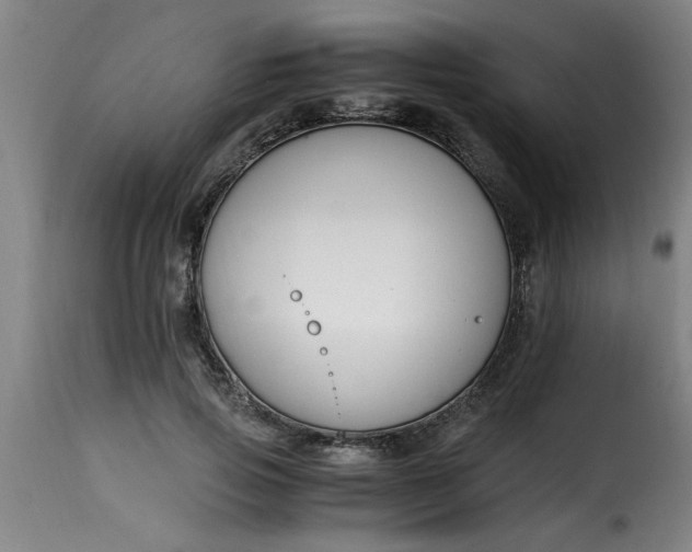 X0000115480741200911201839