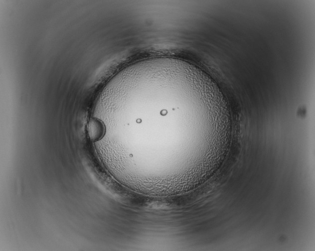 X0000115480742200911201839