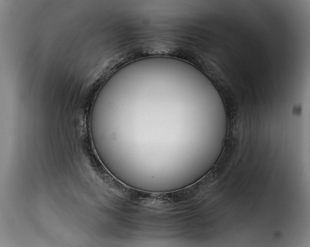 X0000115480743200911201839