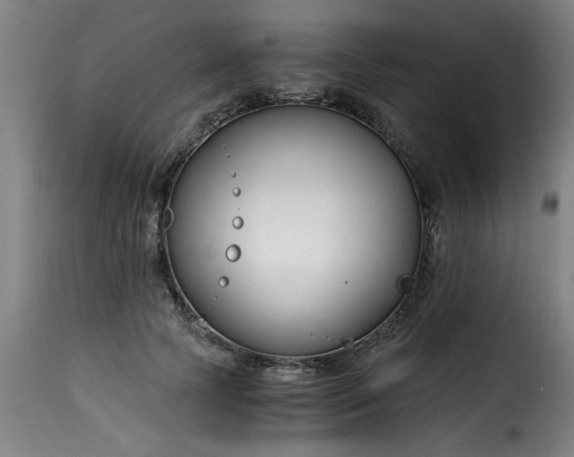 X0000115480745200911201839