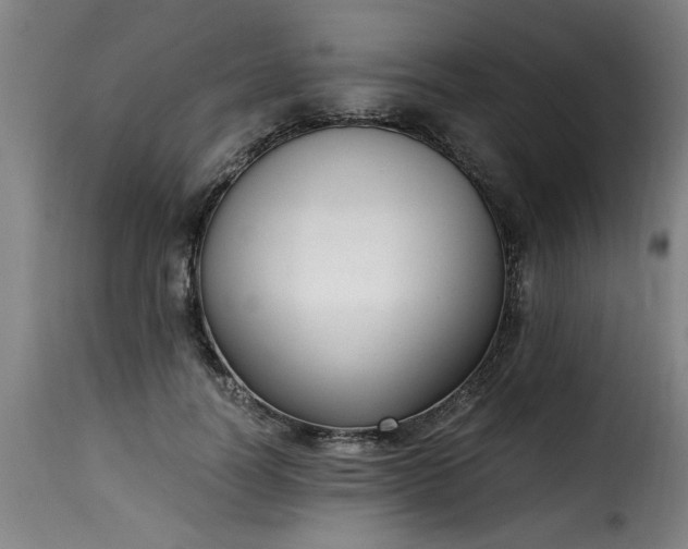 X0000115480746200911201839