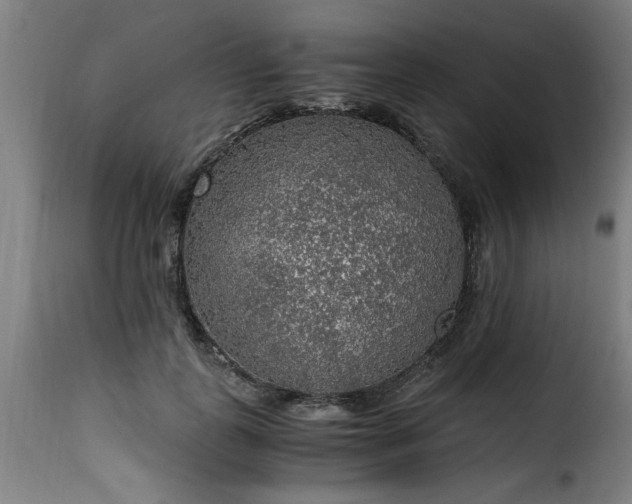 X0000115480747200911201839