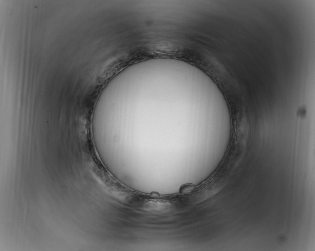 X0000115480749200911201839