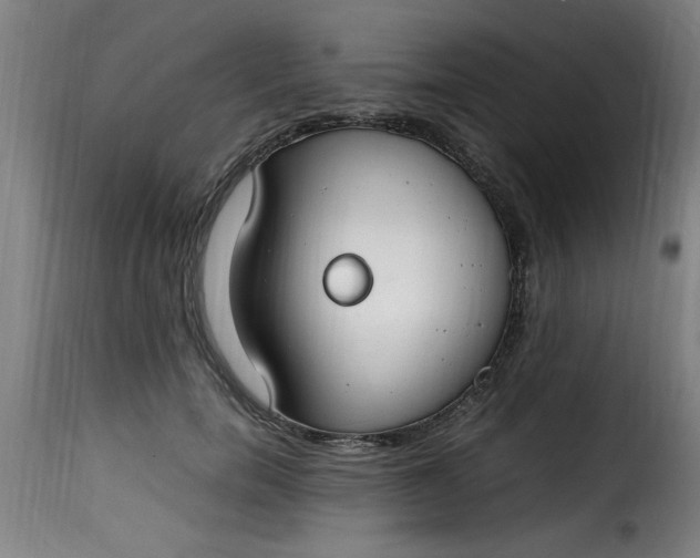 X0000115480750200911201839