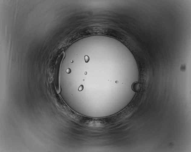 X0000115480751200911201839