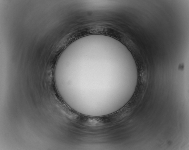 X0000115480753200911201839