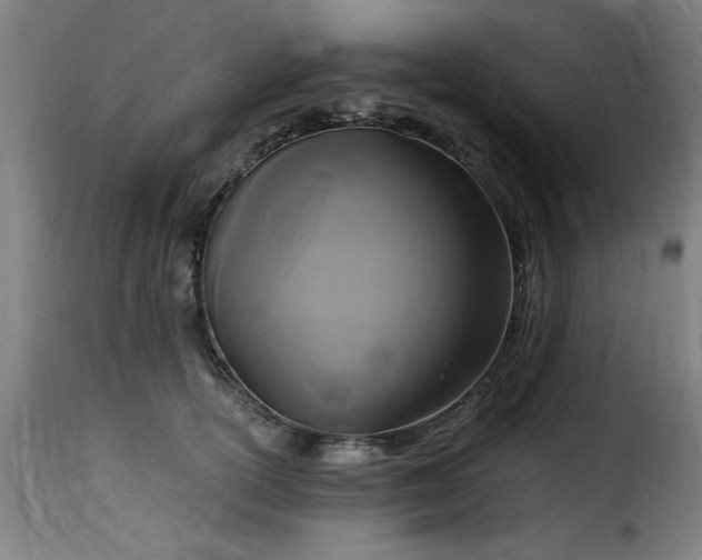 X0000115480754200911201839