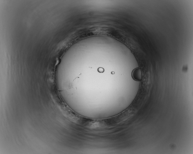 X0000115480755200911201839