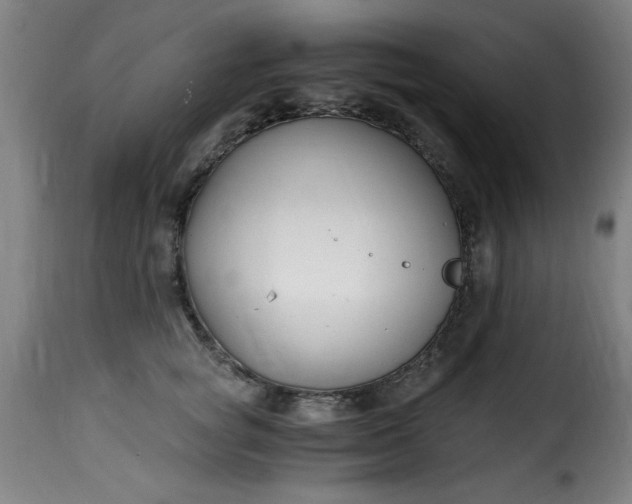 X0000115480757200911201839