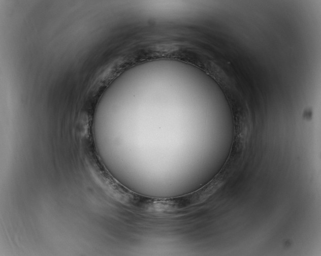 X0000115480758200911201839