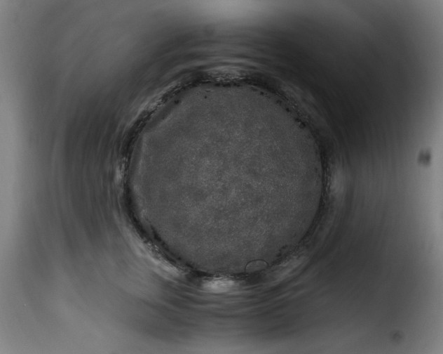 X0000115480759200911201839