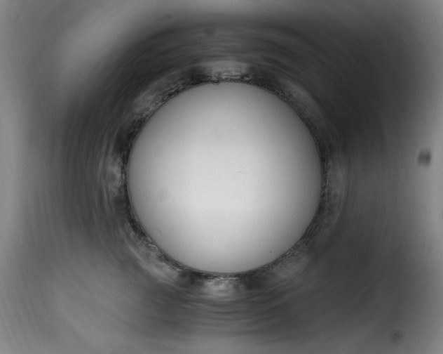 X0000115480761200911201839