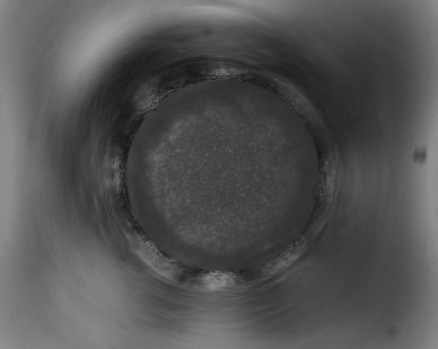 X0000115480762200911201839