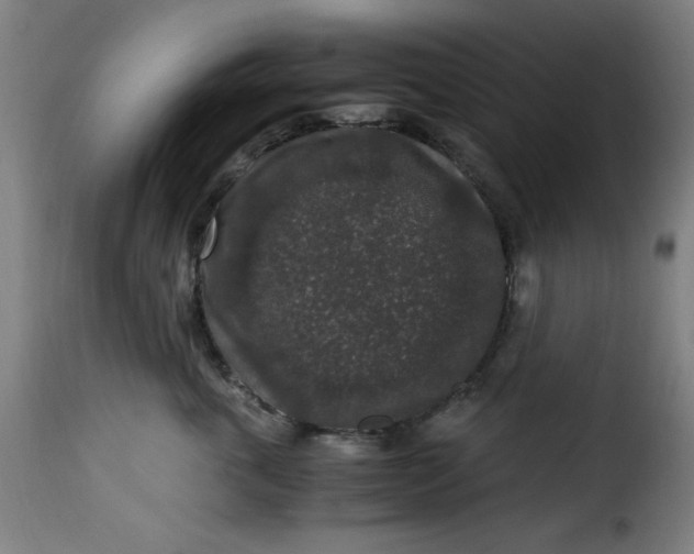 X0000115480763200911201839