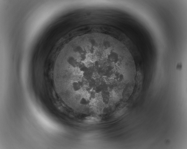 X0000115480765200911201839