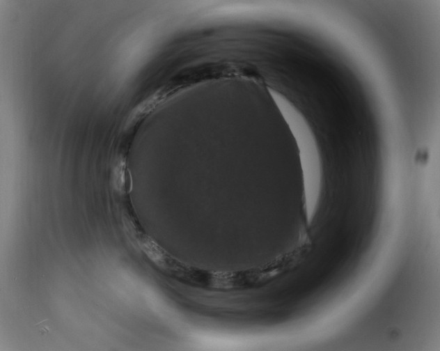 X0000115480766200911201839