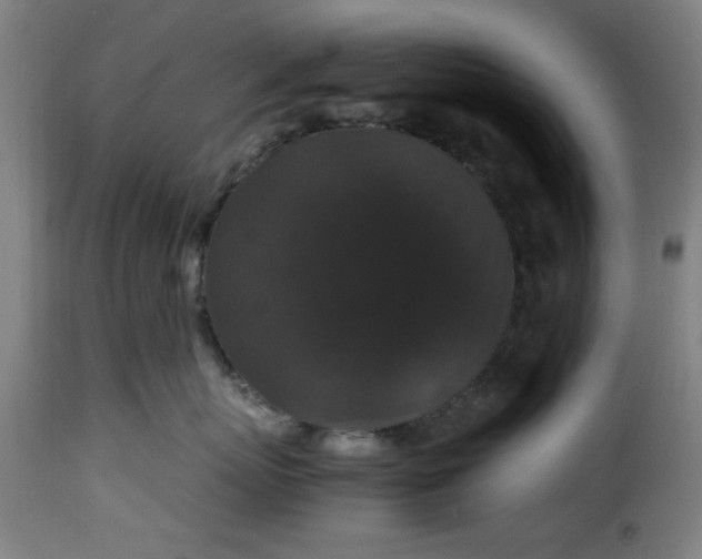 X0000115480767200911201839