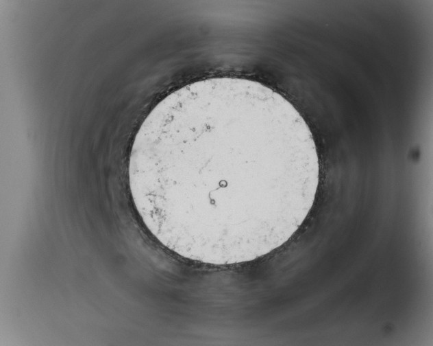 X0000115480769200911201839