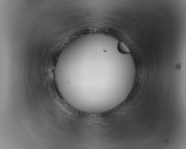 X0000115480770200911201839