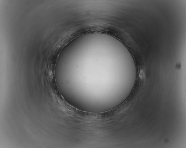 X0000115480771200911201839