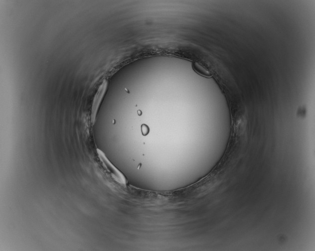 X0000115480772200911201839