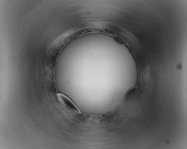 X0000115480773200911201839