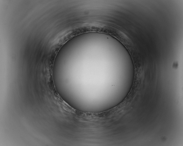 X0000115480774200911201839