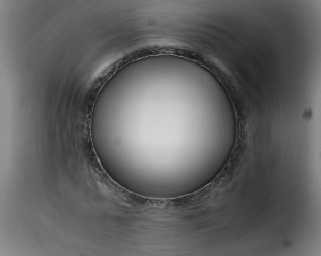 X0000115480775200911201839