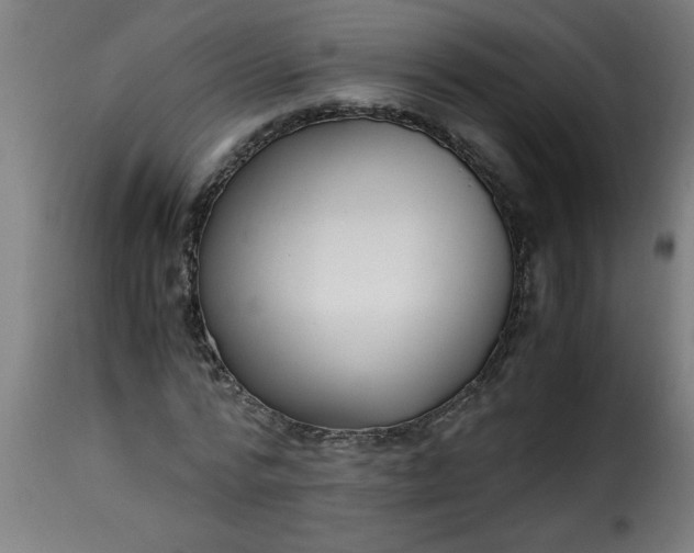 X0000115480776200911201839