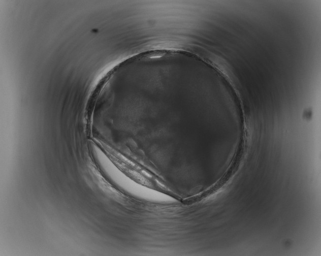 X0000115480779200911201839