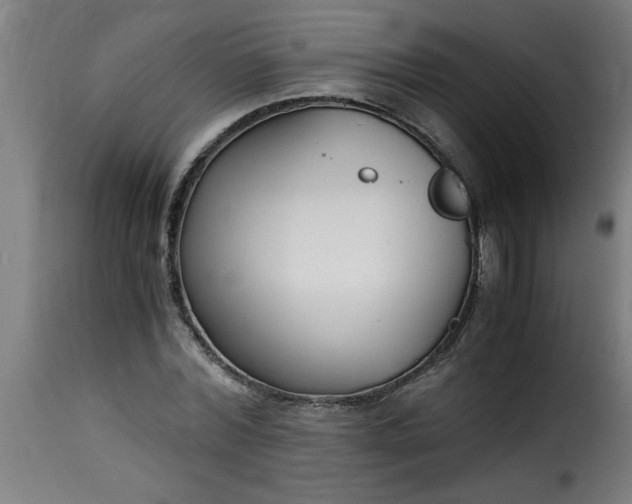 X0000115480780200911201839